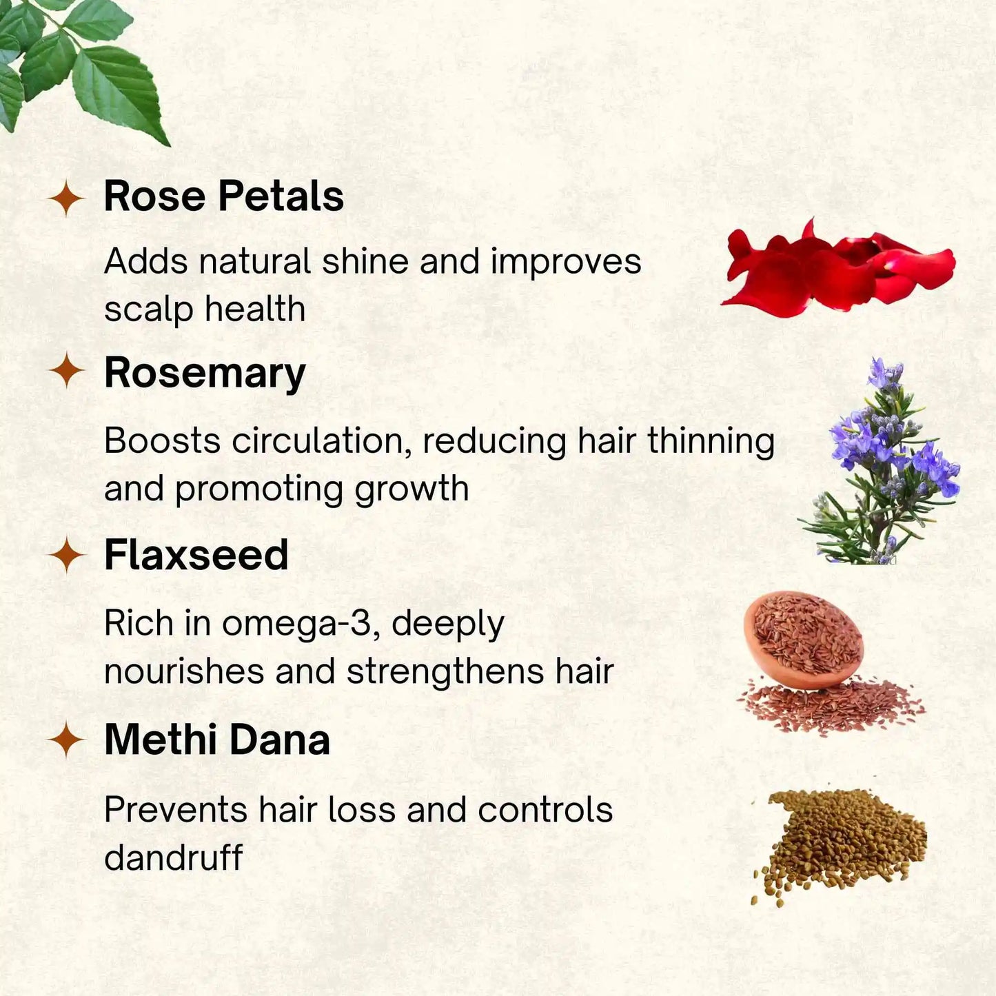 Mixed Herbs Oil | 100 ml
