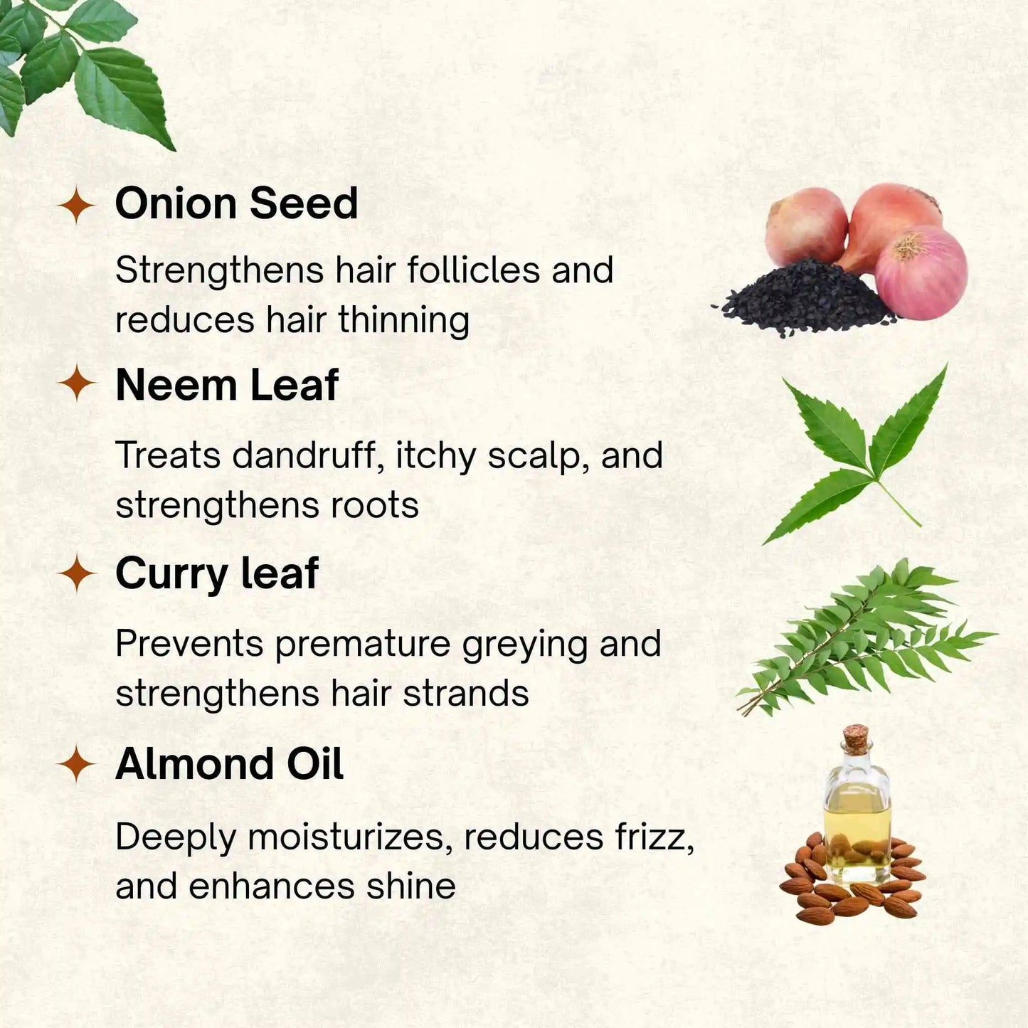 Mixed Herbs Oil | 100 ml