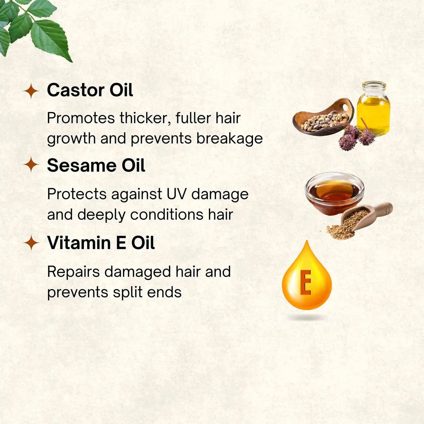 Mixed Herbs Oil | 100 ml