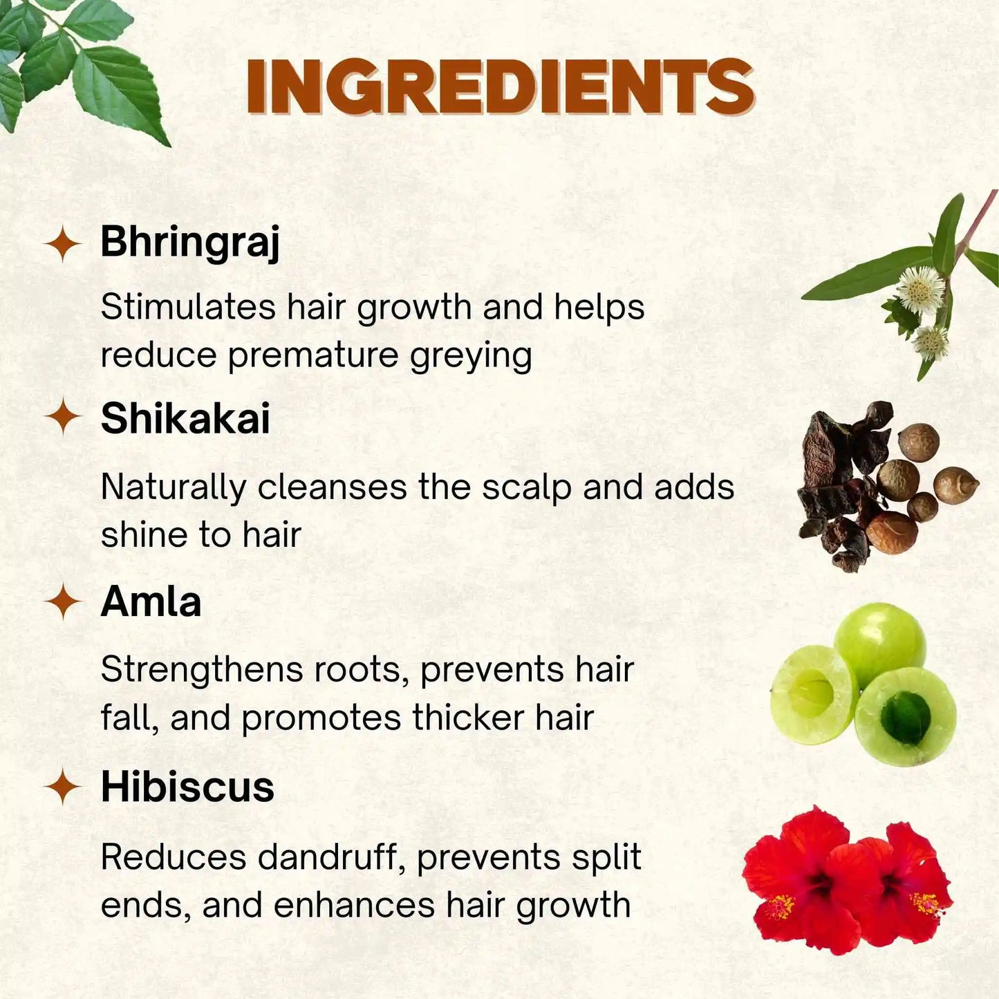 Mixed Herbs Oil | 100 ml