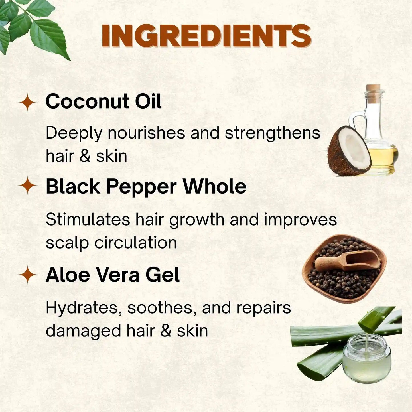 Aloe Vera Oil | 100 ml